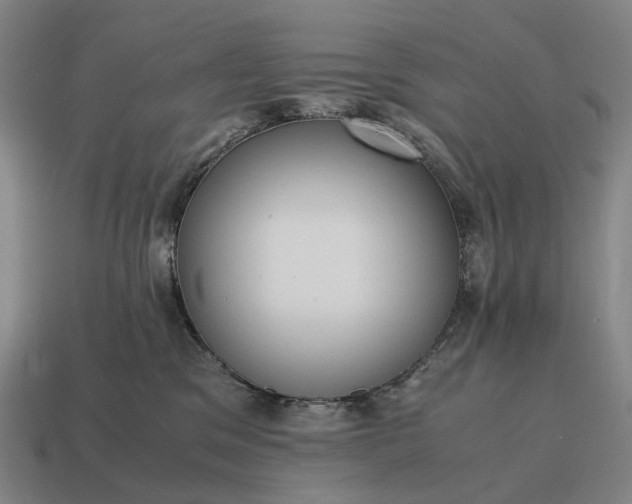 X0000115120329200911101631