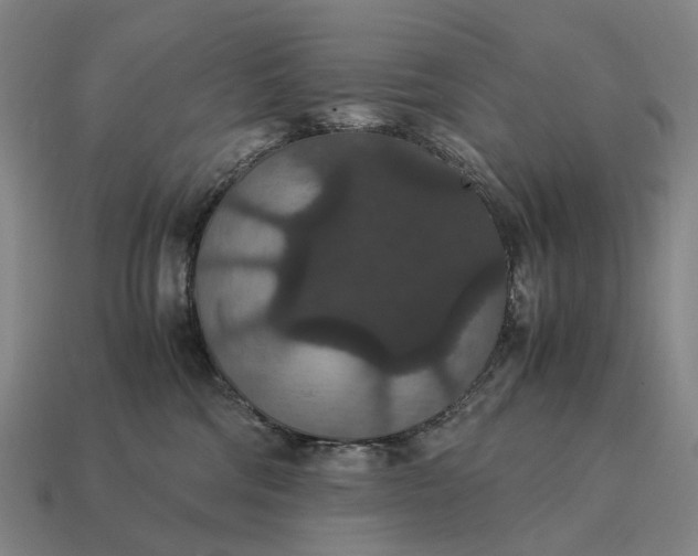 X0000115120330200911101631