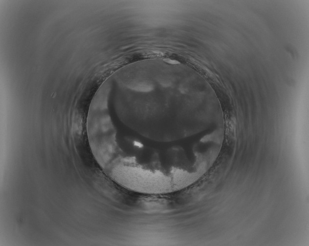 X0000115120331200911101631