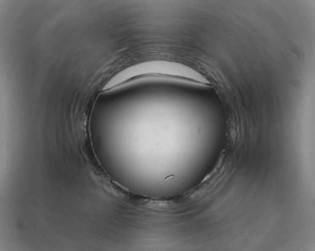 X0000115120332200911101631