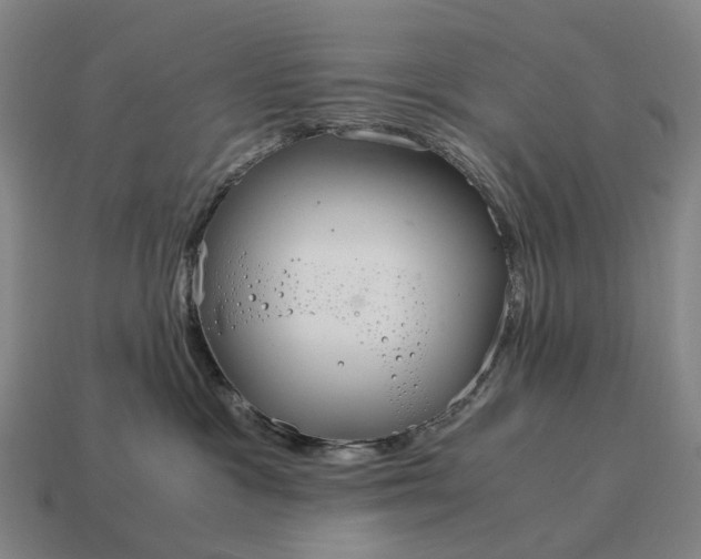 X0000115120333200911101631
