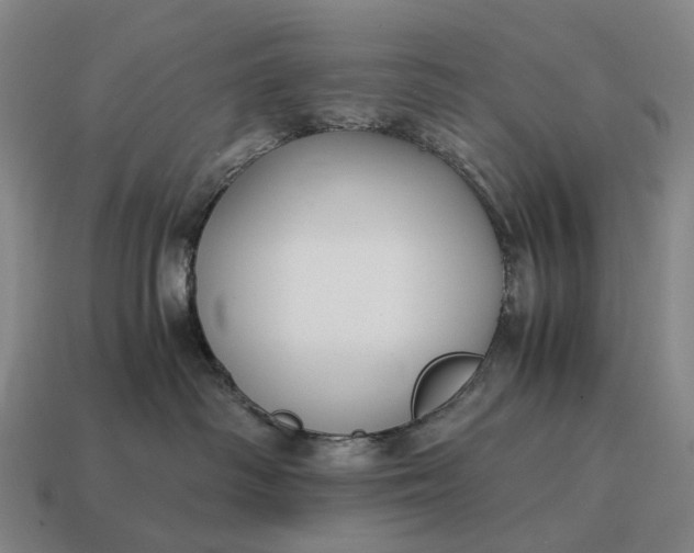 X0000115120334200911101631