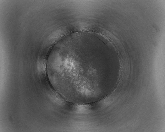 X0000115120336200911101631