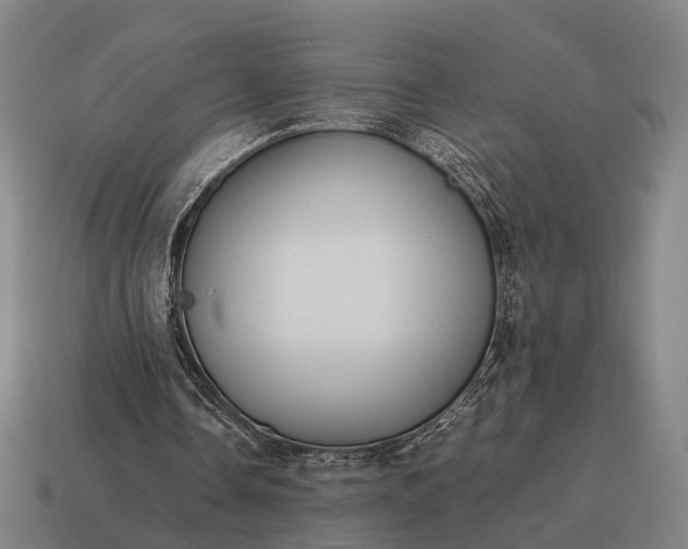 X0000115120338200911101631