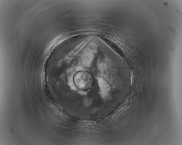 X0000115120339200911101631