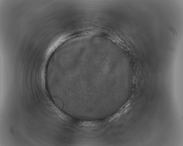 X0000115120341200911101631