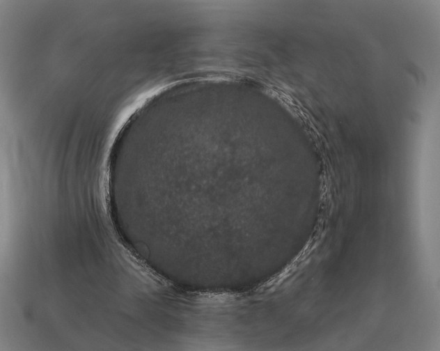 X0000115120342200911101631