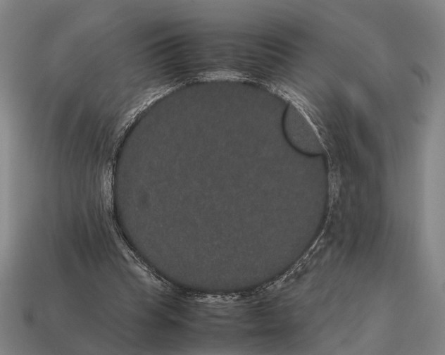 X0000115120345200911101631