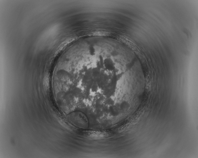 X0000115120347200911101631