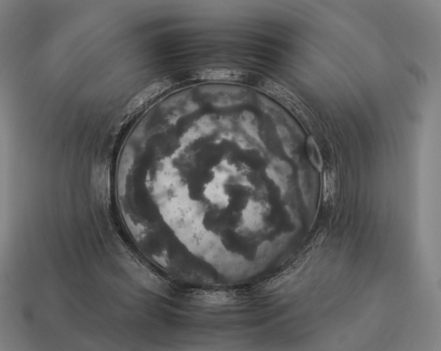 X0000115120349200911101631