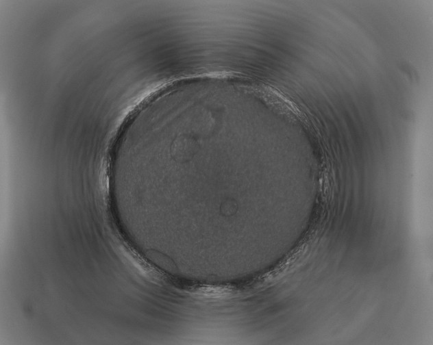 X0000115120350200911101631