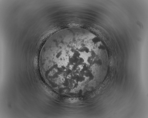 X0000115120353200911101631