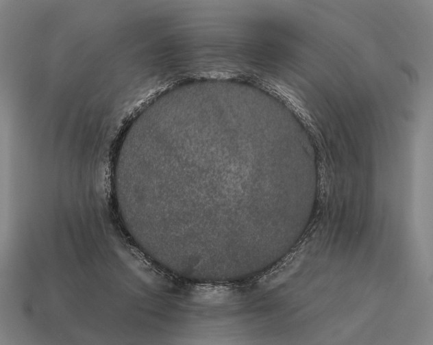 X0000115120354200911101631
