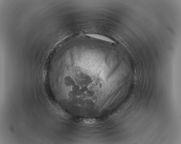 X0000115120355200911101631