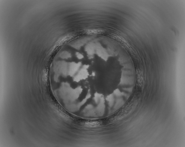 X0000115120357200911101631