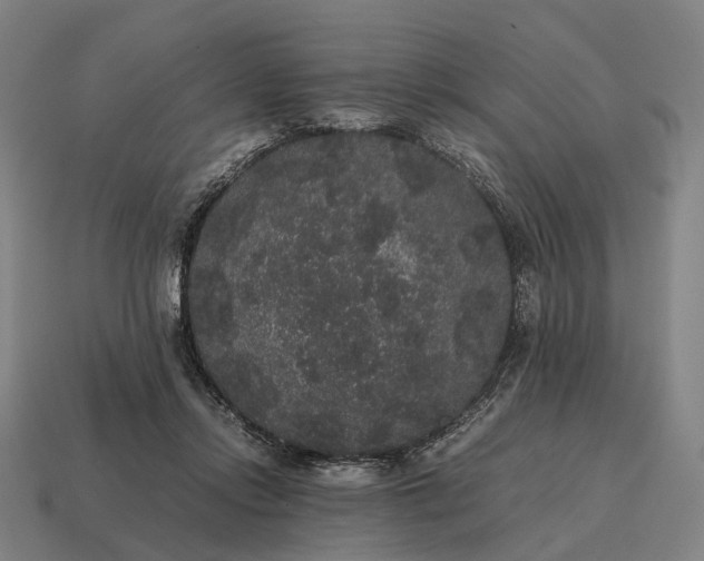 X0000115120358200911101631