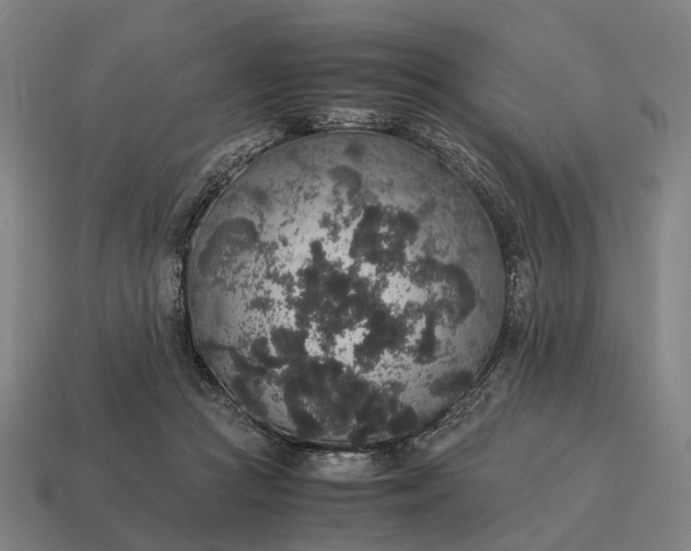 X0000115120361200911101631