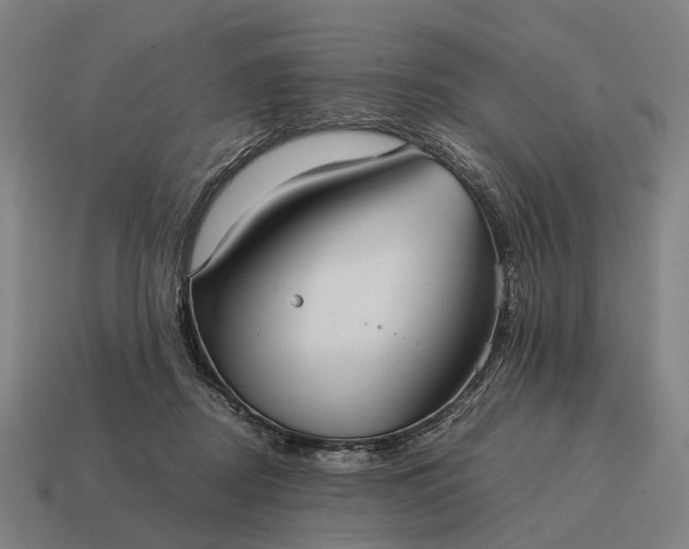 X0000115120362200911101631