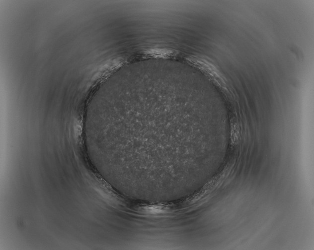 X0000115120365200911101631