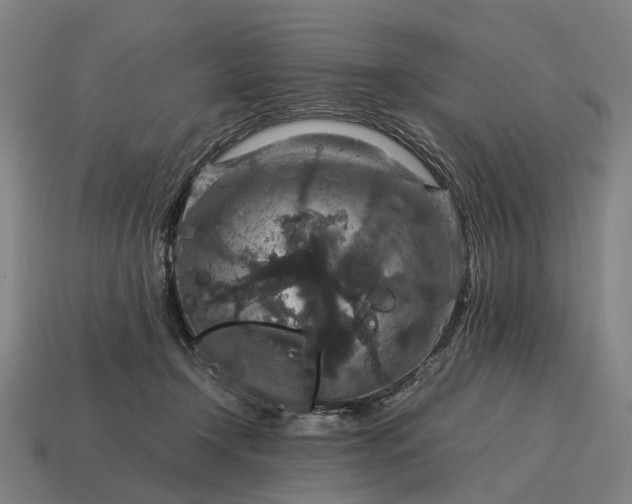 X0000115120366200911101631