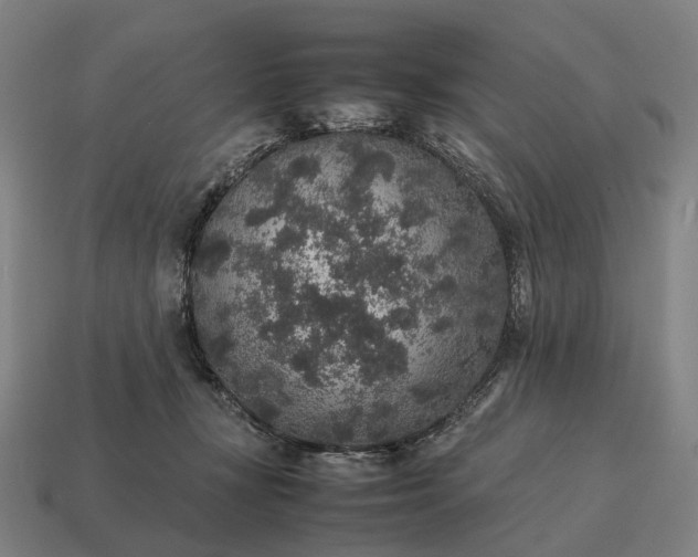 X0000115120367200911101631
