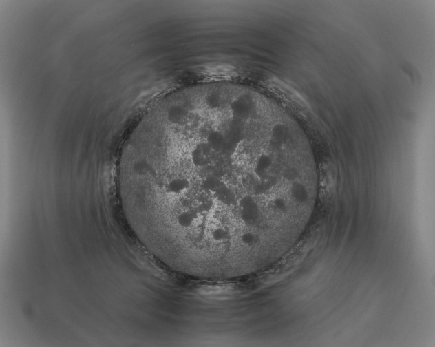 X0000115120369200911101631
