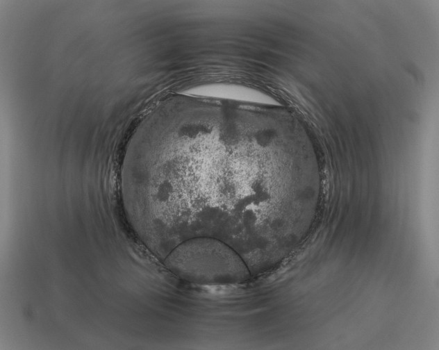 X0000115120371200911101631