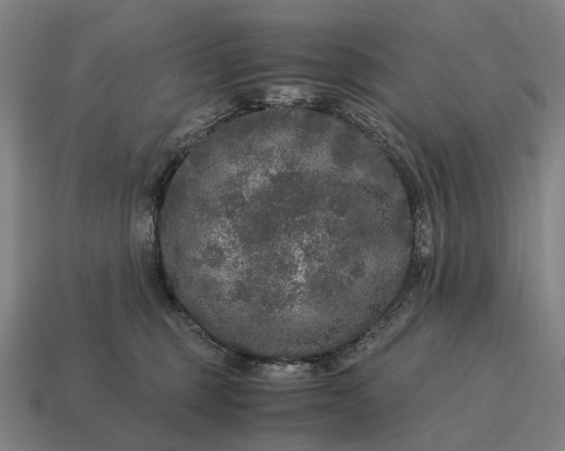 X0000115120375200911101631