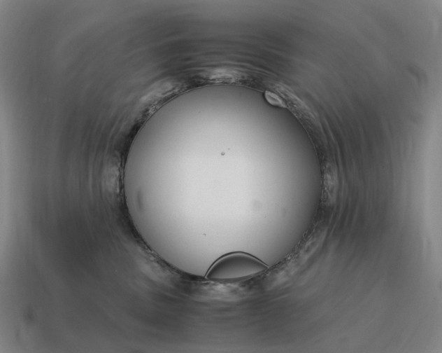 X0000115120379200911101631