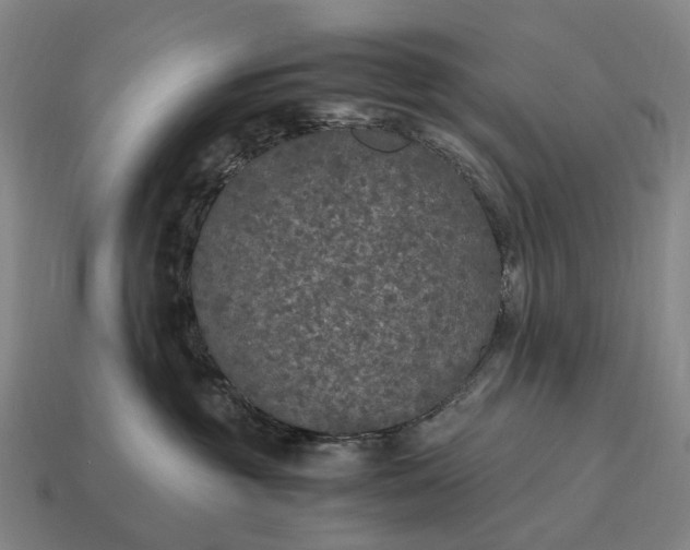 X0000115120381200911101631