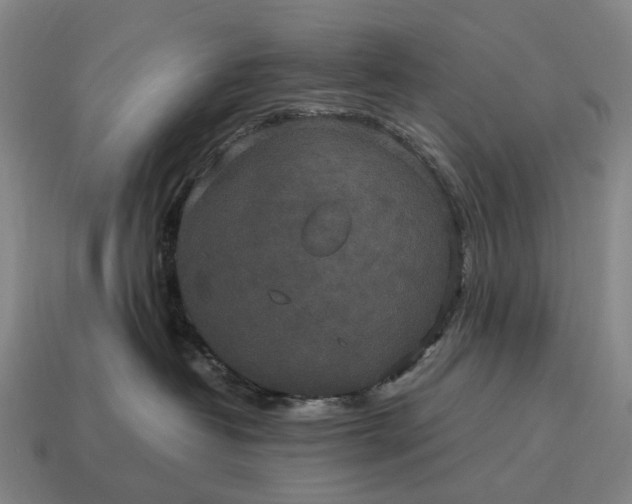 X0000115120382200911101631
