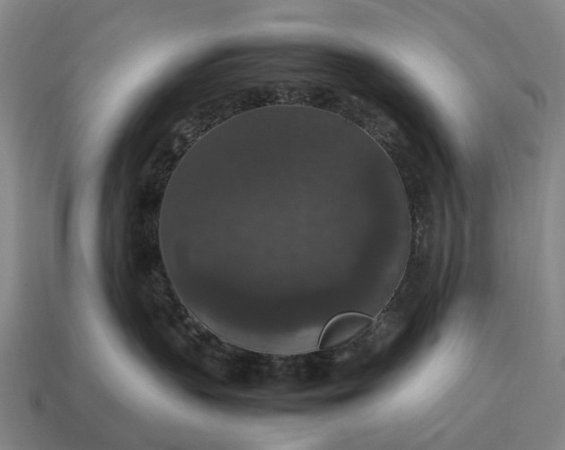 X0000115120383200911101631