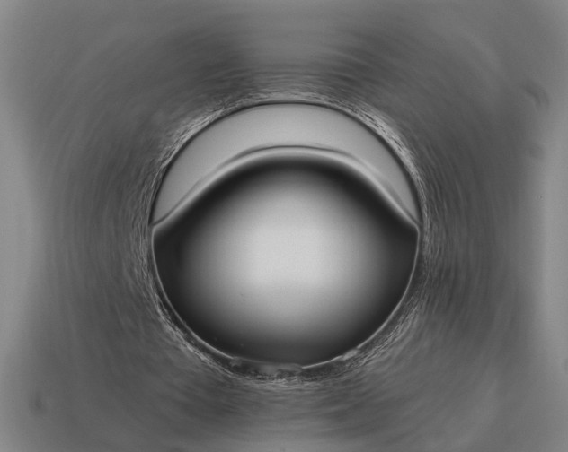 X0000115120385200911101631
