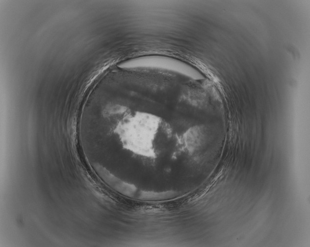 X0000115120386200911101631