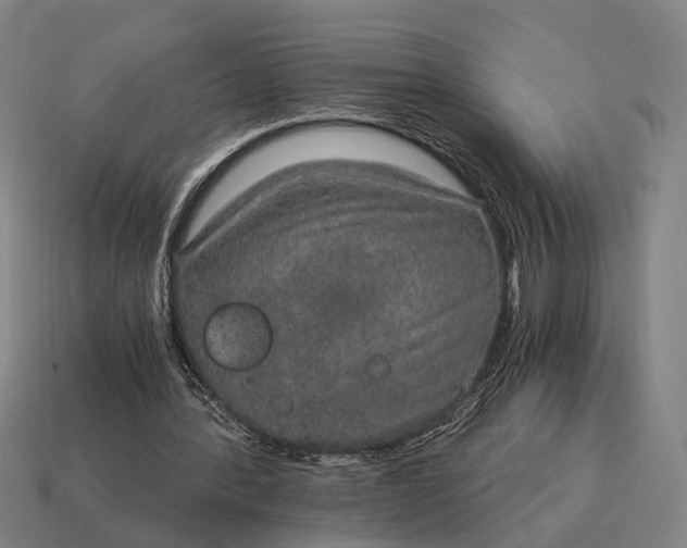 X0000115120388200911101631