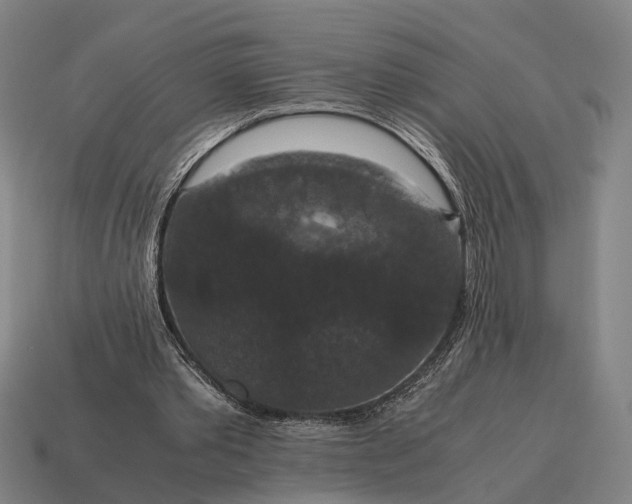 X0000115120389200911101631