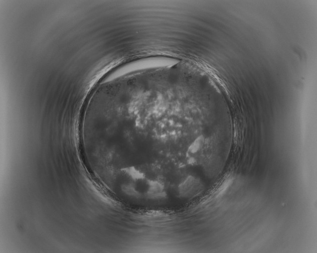 X0000115120390200911101630