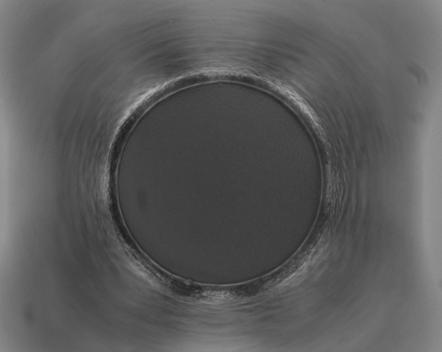 X0000115120391200911101630