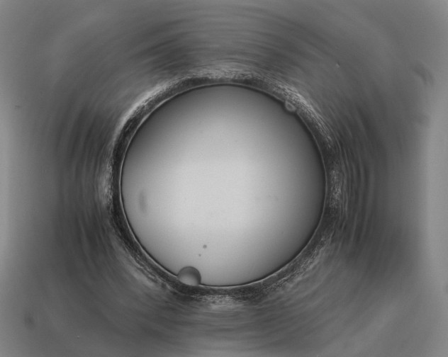 X0000115120392200911101630