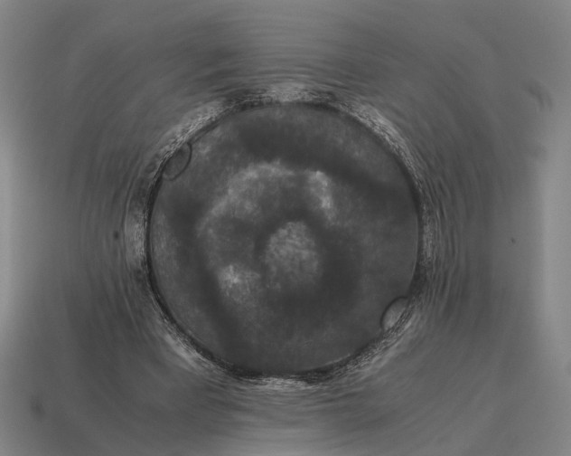 X0000115120393200911101630