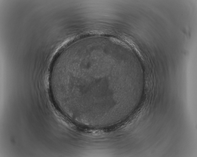 X0000115120395200911101630