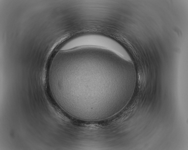 X0000115120396200911101630