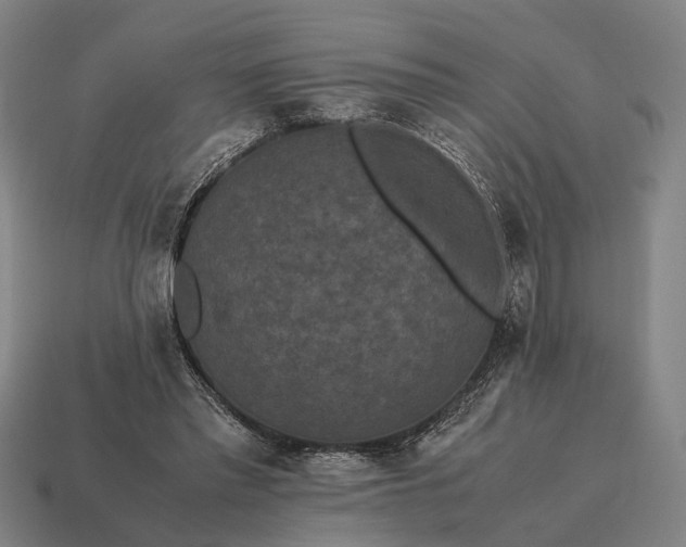 X0000115120397200911101630