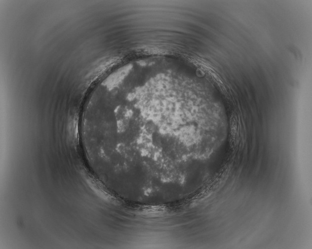 X0000115120398200911101630