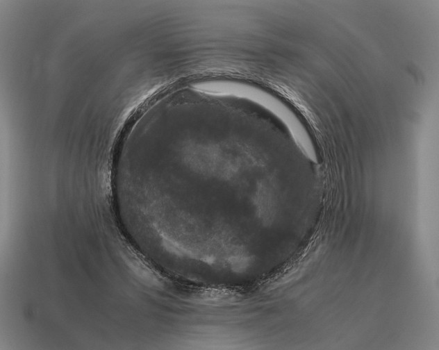 X0000115120399200911101630