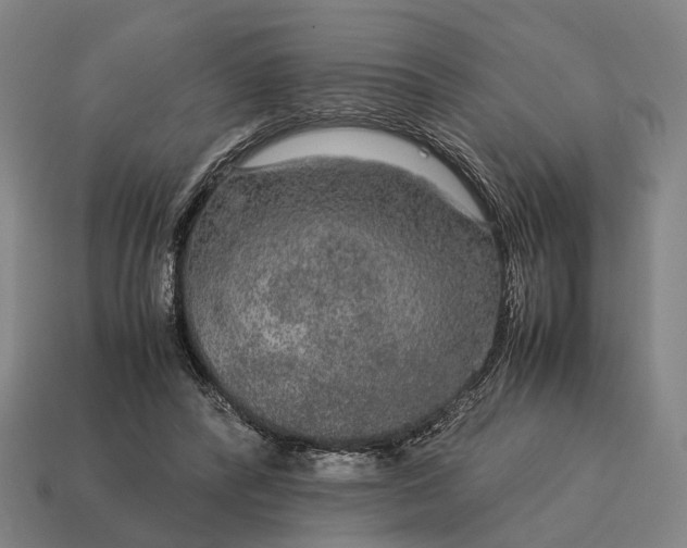 X0000115120400200911101630