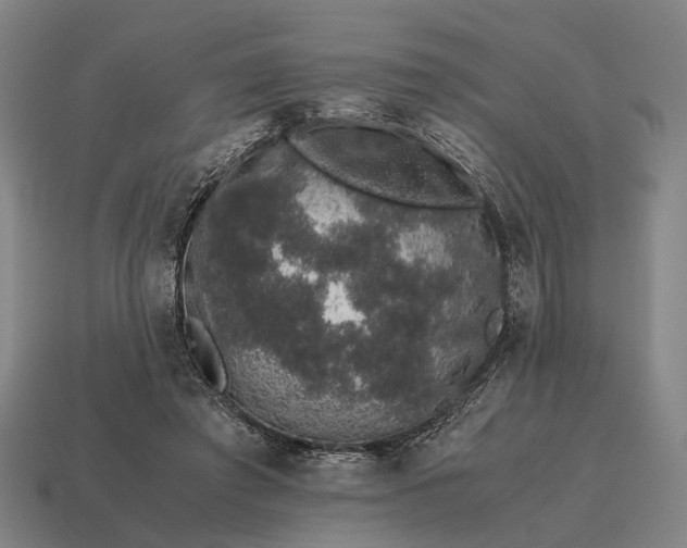 X0000115120401200911101630