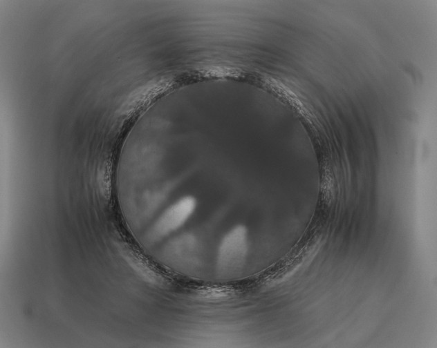 X0000115120402200911101630