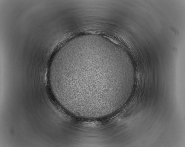 X0000115120404200911101630