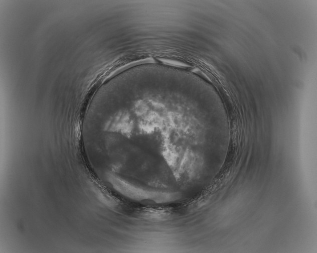 X0000115120405200911101630